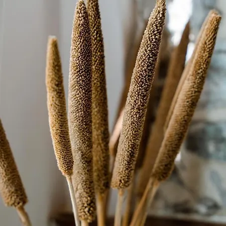 乐5渔村拉斯佩齐亚旅馆 招待所