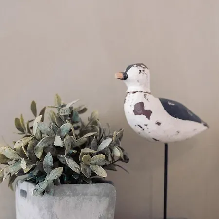 Πανσιόν Le 5 Terre