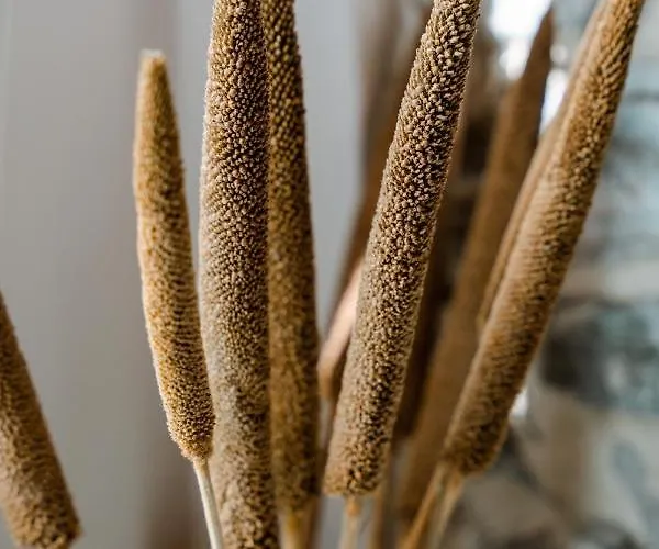 Le 5 Terre בית הארחה